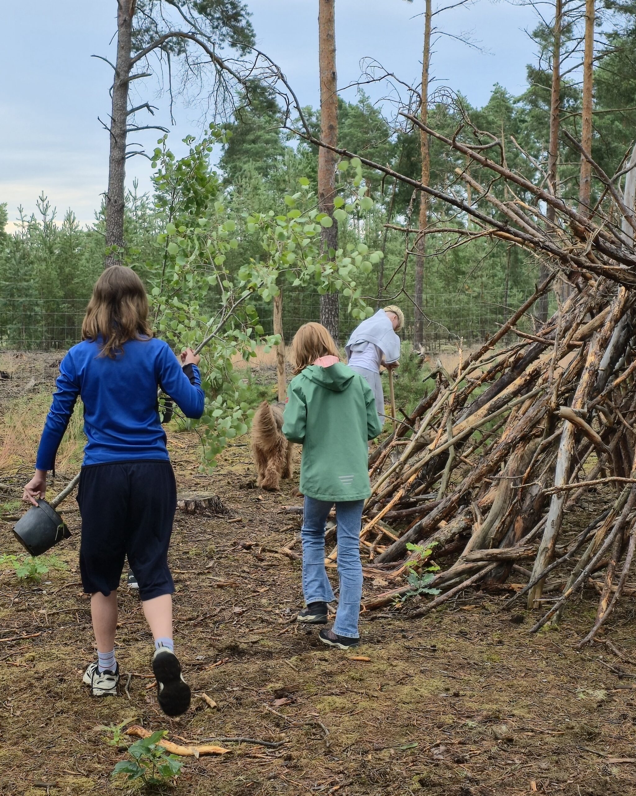Schüler der Naturpark-Schule Prieros pflanzen anlässlich der Einweihung des Waldklassenzimmers zwei Zitterpappeln. © KW-Development