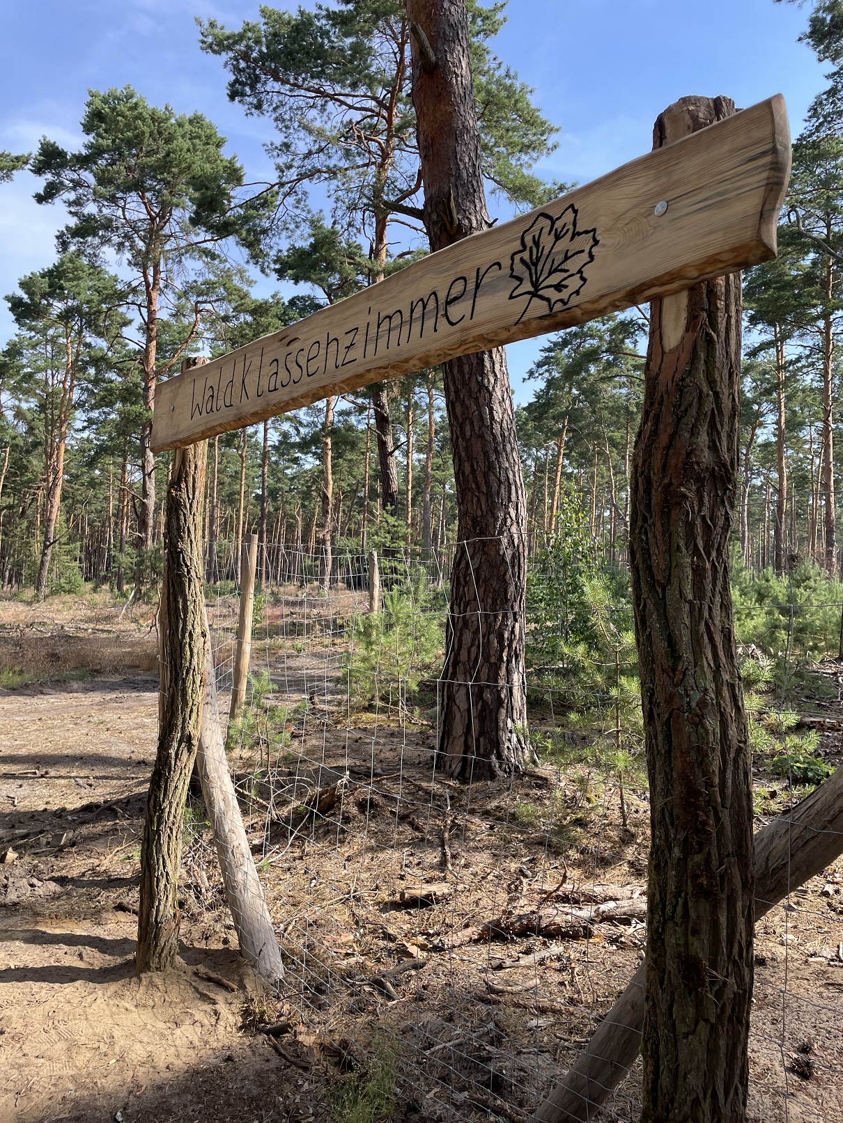Das Hinweisschild auf das Waldklassenzimmer ist ein Abschiedsgeschenk der Kinder der 6. Klasse der Naturpark-Schule Prieros. © Teresa Zeuner